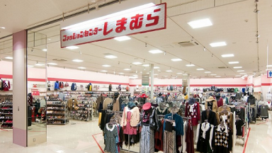 ふんわりルームブラ しまむら